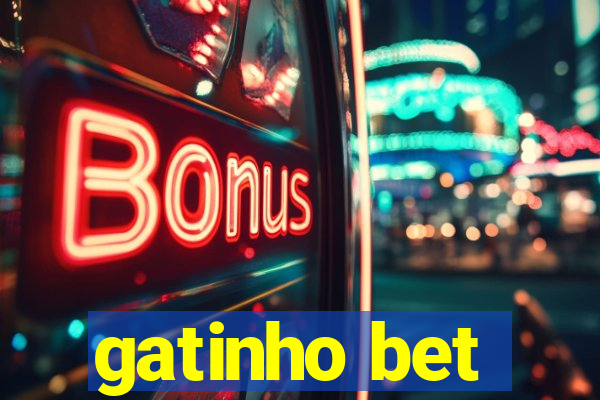 gatinho bet